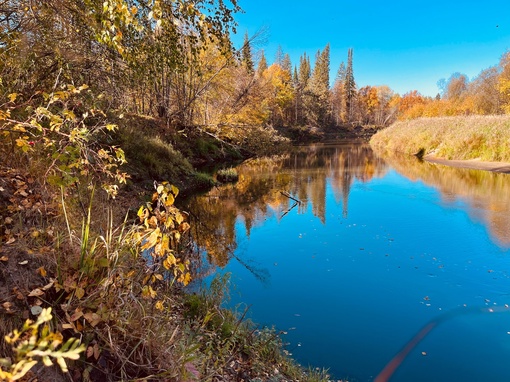 Осень 🍂 на реке Уста

..