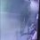 В Мурино на камеру видеонаблюдения попали действия вандалов, которые выдрали калитку 
 
Сила есть — ума не..