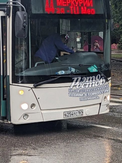 🚨 «Водитель автобуса на ул.Труженикова сбил девушку на пешеходном переходе. Девушка просто встала и..