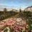 Более 450 самых разнообразных цветочных розеток выложили украшатели святой Канавки в Дивеево
..