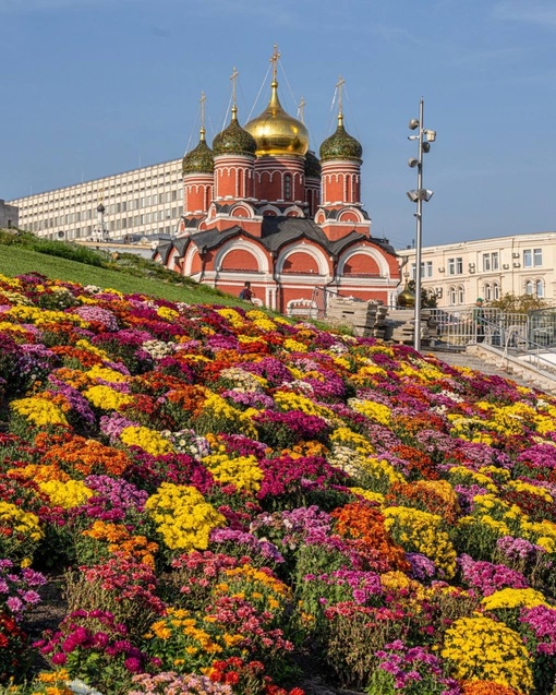 В Зарядье сейчас очень..