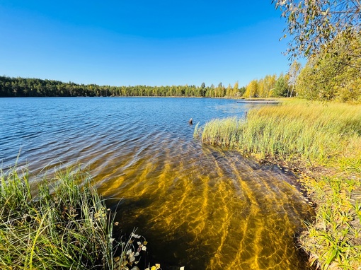 Нижегородская область, Краснобаковский район, памятник природы регионального значения "Озеро Жаренское"
..