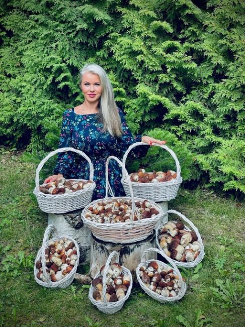 Петербурженка поделилась фото урожая грибов, собранного на днях в Лужском районе. По её словам, «счёт идёт на..