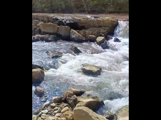 Белореченский водопад сегодня.

Водопад на реке Белой в Белореченске стал туристической меккой

Напомним: ..