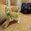💚 Зелёного котенка нашли в Беларуси.

Мужик подобрал его на улице у рыжей мамы-кошки и тут же повел к..