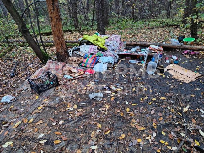 Доступное жилье в Балатовском парке..