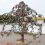 «Растет» вот такое дерево на берегу Иртыша в Омске. Вместо листочков у этого дерева замочки разные..