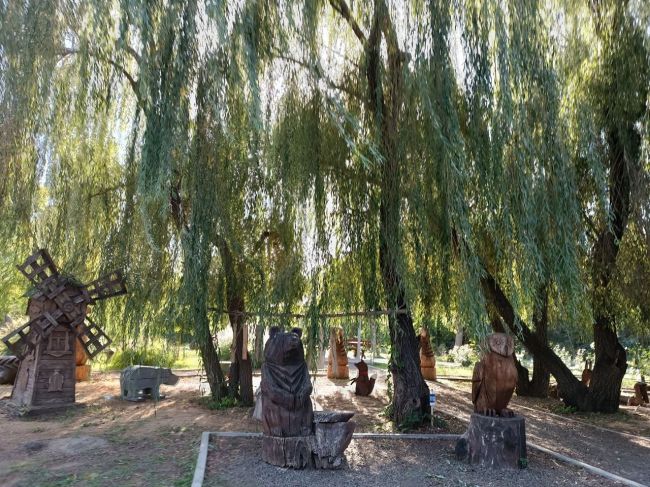 В Ботаническом саду Ростова появился парк деревянных скульптур. Как..