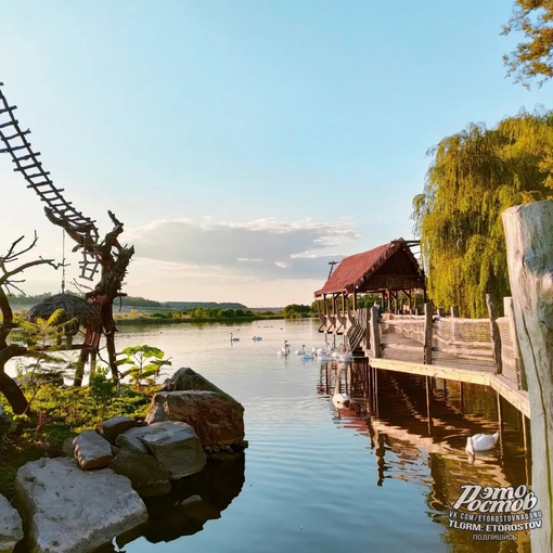 🦚🦜 Южный парк птиц Малинки 

📍Ростовская область, Красный Сулин (ПСХ Соколовское) 
Координаты: 47.748089,..