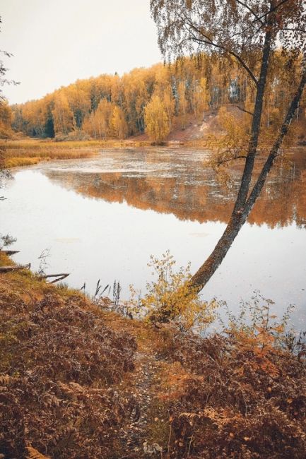 🗣️Заволжье и его краски..