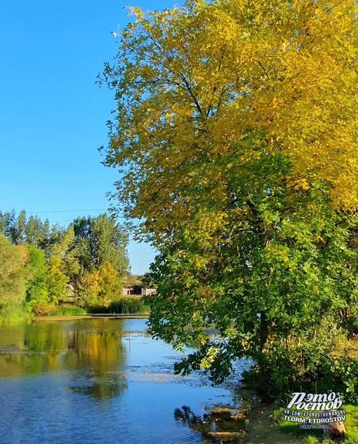 💚 Красота в Белой..