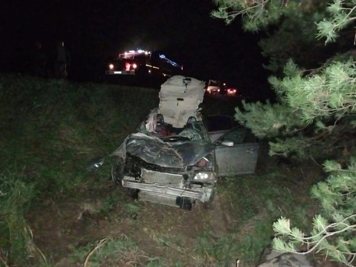 На омской трассе погиб пассажир иномарки, водитель которой наехал на лошадь

Вчера около 22:00 часов в..