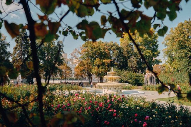 Прекрасные розы в Парке Горького нас радуют даже в конце сентября..
