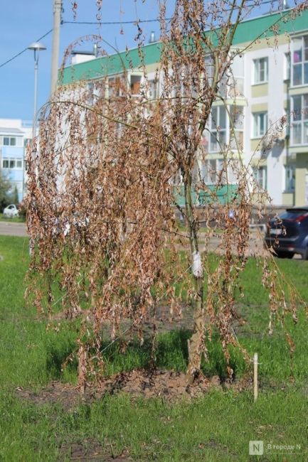 🍂🌳🚜

Осень подкралась незаметно.

Журналисты издания "В городе N" публикуют фотографии парковой зоны в..