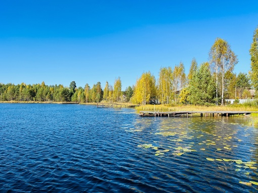 Нижегородская область, Краснобаковский район, памятник природы регионального значения "Озеро Жаренское"
..