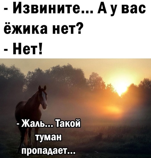 И вновь густой туман накрыл наш..