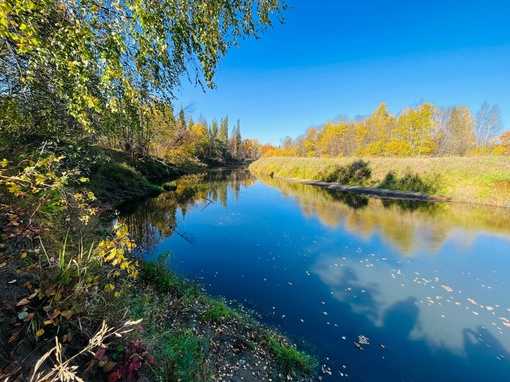 Осень 🍂 на реке Уста

..