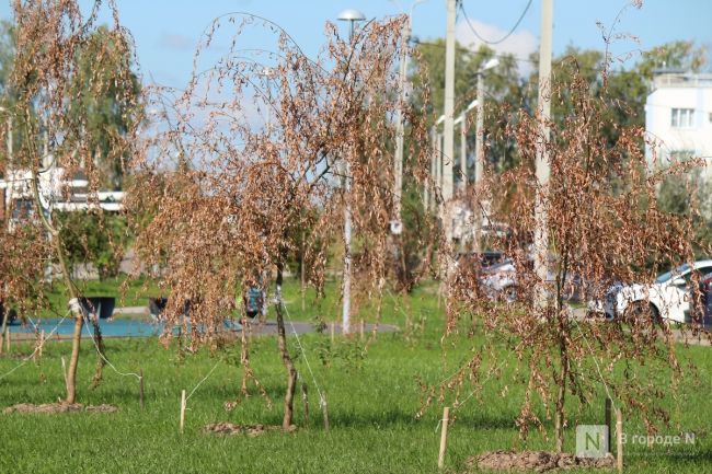 🍂🌳🚜

Осень подкралась незаметно.

Журналисты издания "В городе N" публикуют фотографии парковой зоны в..