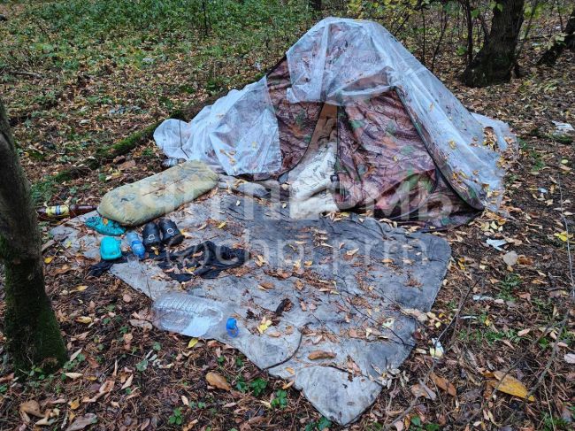 Доступное жилье в Балатовском парке..