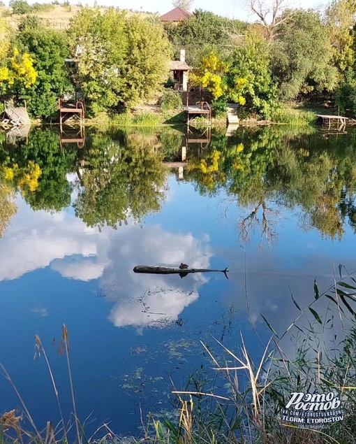 💚 Красота в Белой..