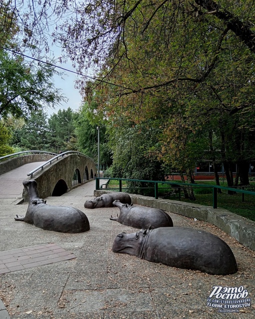 🌳 Сентябрь в ростовском..