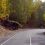 В Самарской области на дороге в село Ширяево опрокинулся грузовик 

Водитель автомобиля госпитализирован. 
..