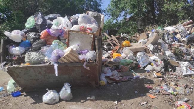 В Самарской области намерены изменить тарифы на вывоз мусора 

Этим вопросом займется новая общественная..