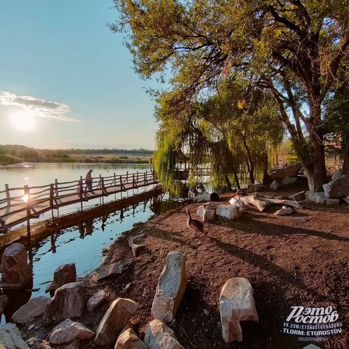 🦚🦜 Южный парк птиц Малинки 

📍Ростовская область, Красный Сулин (ПСХ Соколовское) 
Координаты: 47.748089,..