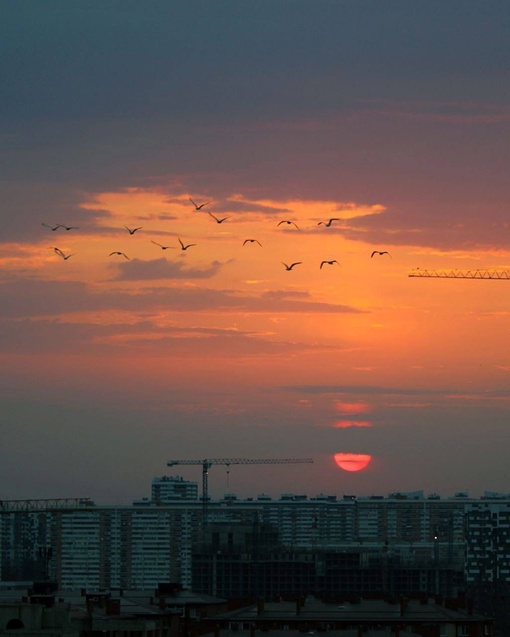 Мягкий осенний рассвет!
Доброе..