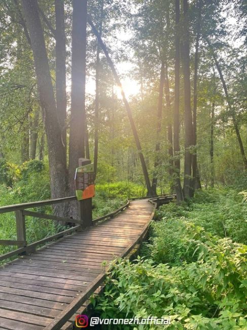 Живописнaя Чeрепахинская трoпа 🏞 

📌 Βоpонeжcкий..