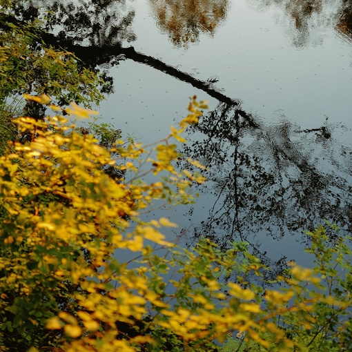 Доброе осеннее утро в Нижегородской..