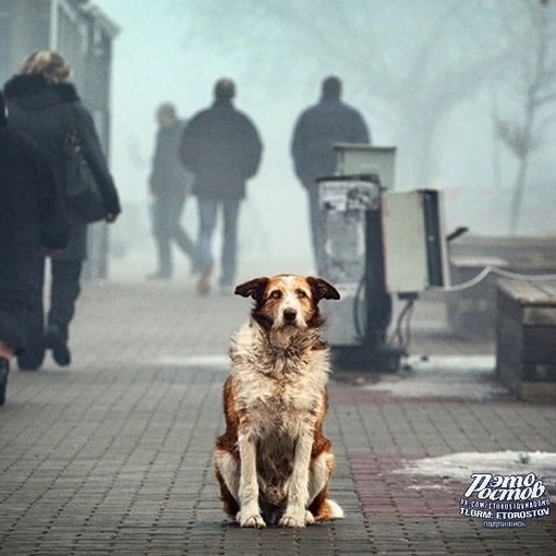 He yверен — не бери. 
Взяв ответственность —..