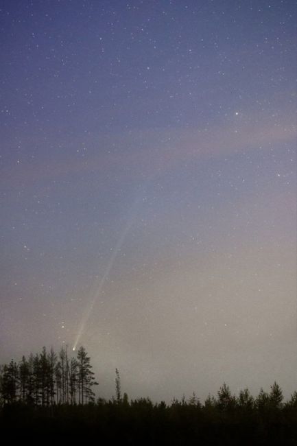 Вот так выглядела над Петербургом пролетающая комета Нишимура сегодня..