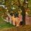 Осень в Царицыно

Фото:..