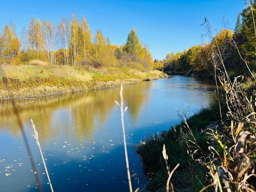 Осень 🍂 на реке Уста

..