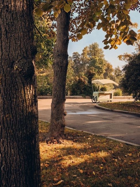 🍂Осенняя Москва.

Фото Инника..