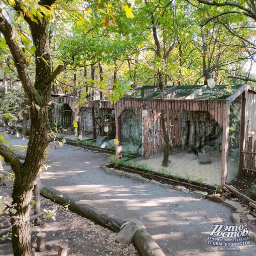 🦚🦜 Южный парк птиц Малинки 

📍Ростовская область, Красный Сулин (ПСХ Соколовское) 
Координаты: 47.748089,..