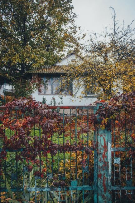 Разноцветная осень в Старочеркасской 🍂🍁

Фото: Артём..