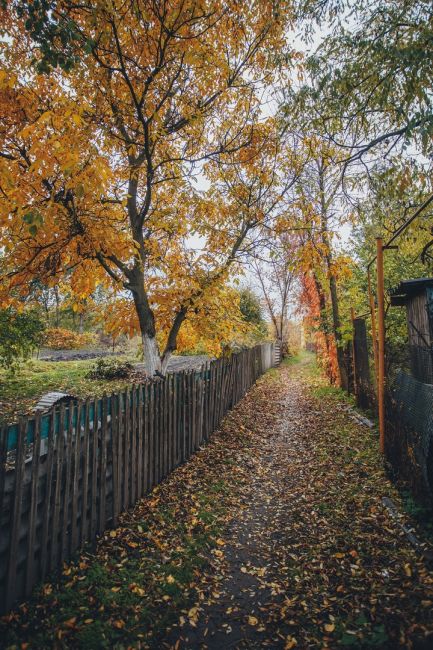 Разноцветная осень в Старочеркасской 🍂🍁

Фото: Артём..