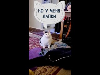 А вы уже..