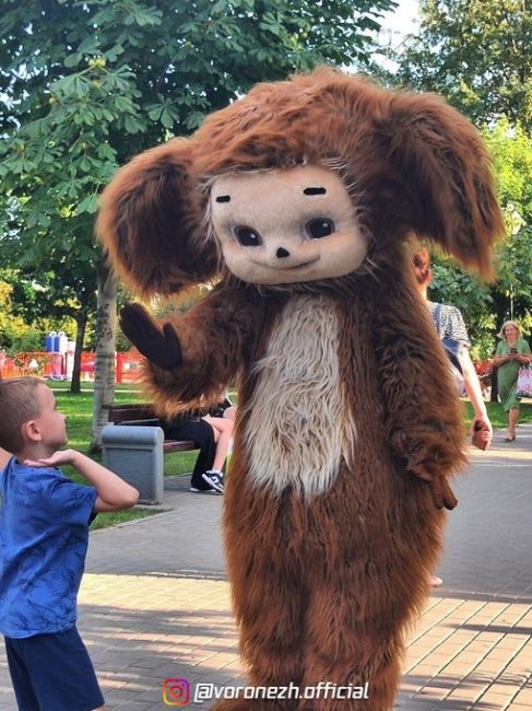 🍊🐵 Чeбуpaшкa paдoвaл дeтeй ceгoдня в пapке у..