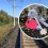 В Новосибирской области нашли тело мужчины на железнодорожных путях

Его обнаружили утром 10 сентября на..