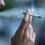 Россияне заявили о готовности покупать нелегальные сигареты из-за роста цен

Если цены на сигареты вырастут..