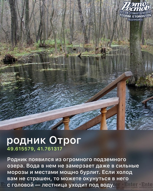 9 мест Ростовской области, куда можно отправиться за осенними видами..