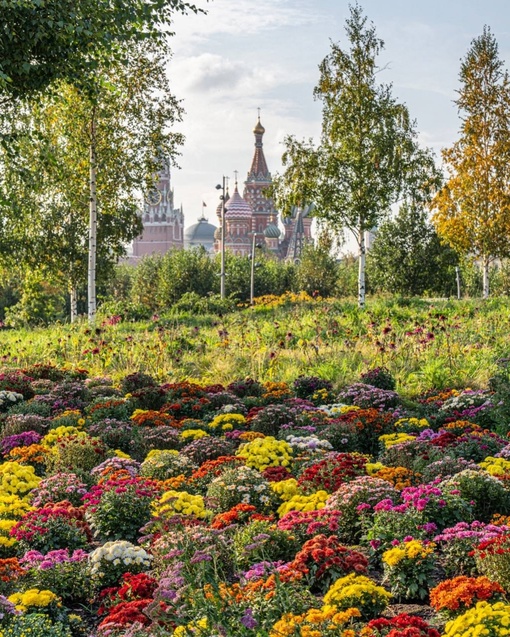 В Зарядье сейчас очень..