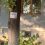 Бумажные спамеры прошлись по Сормовскому району и обклеили деревья объявлениями.

Точнее, прибили их..