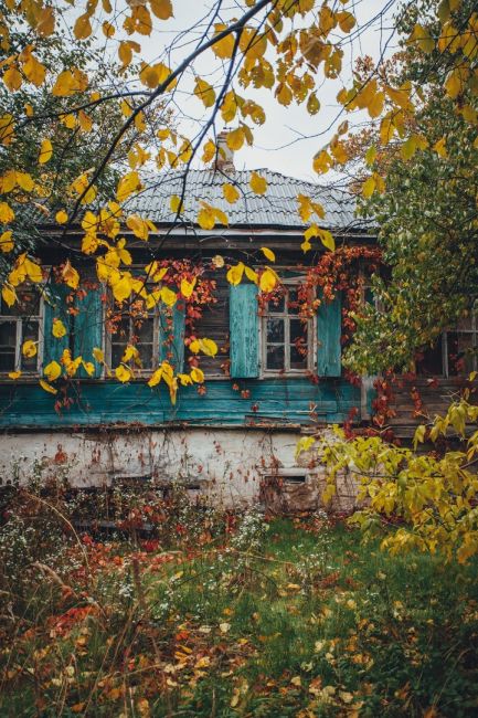 Разноцветная осень в Старочеркасской 🍂🍁

Фото: Артём..