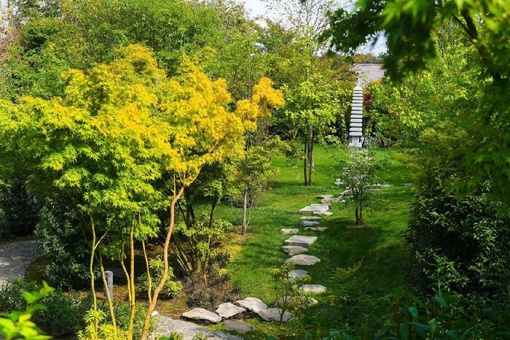 Дыхание осени в Японском саду ⛩️🌳🍁

Фото..