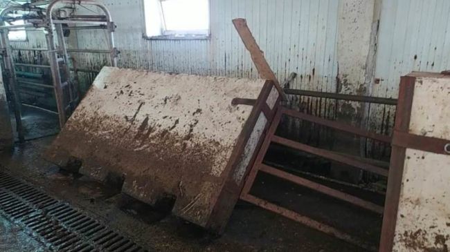 В Омской области парень на ферме погиб из-за того, что корова задела за плиту

Государственная инспекция..