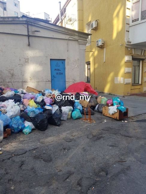 На улице Будденовский в Ростове настоящий мусорный апокалипсис. Местные пишут, что запахи стоят просто..
